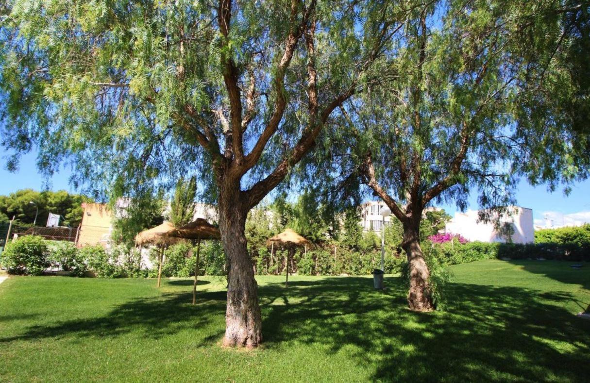 Sweetwater Home - Apartamento Ideal Para Tus Vacaciones Эль-Кампильо-дель-Моро Экстерьер фото